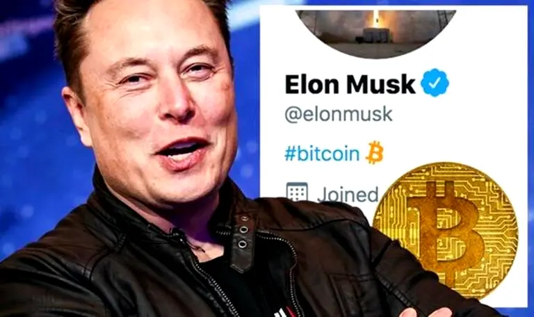 Cryptocurrency Investments